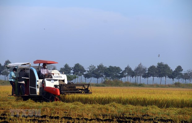 Xây hệ sinh thái phát triển kinh tế nông thôn để thu hút đầu tư lớn