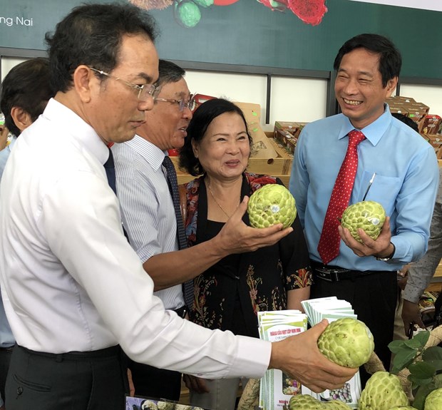 Dong Nai quyet tam phat trien toan dien, cung ca nuoc di len CNXH hinh anh 5