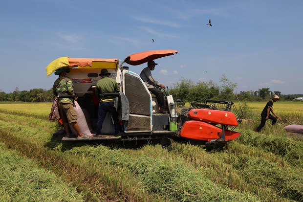Dong Nai quyet tam phat trien toan dien, cung ca nuoc di len CNXH hinh anh 4