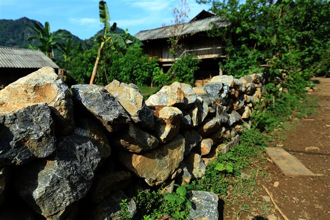 Stone fences are used to separate houses, creating the distinctive feature (Photo: VNA)