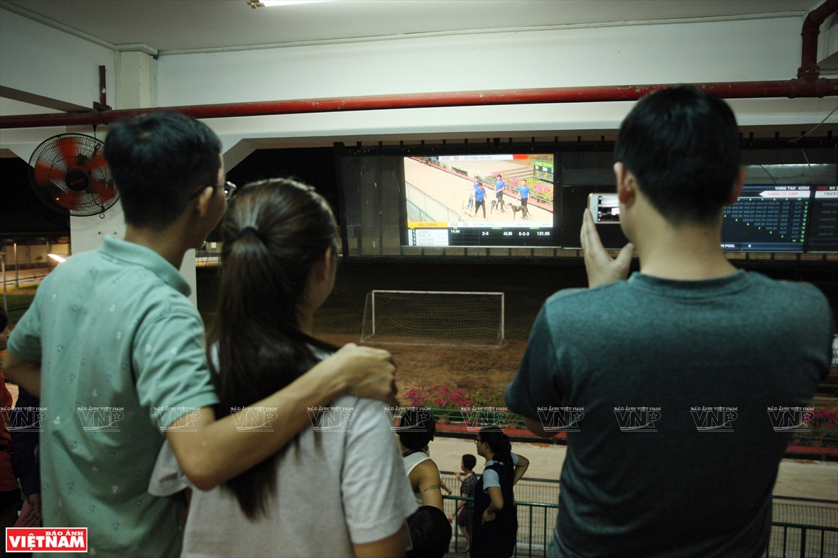 The viewers watch the race on the screen (Photo: VNA)