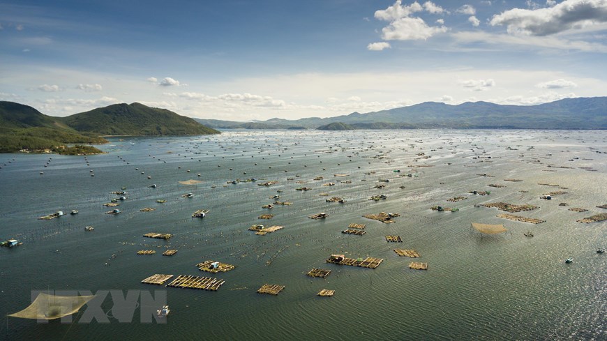 Aerial shot of the lobster farming area (Photo: VNA)