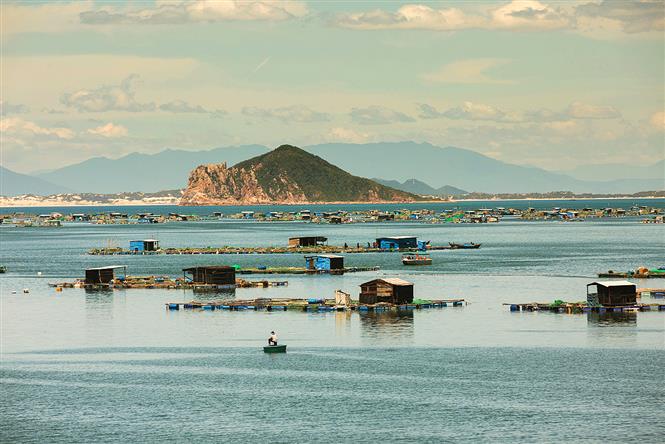 Floating homes with fish farms on Vung Ro Bay on a peaceful day (Photo: VNA)