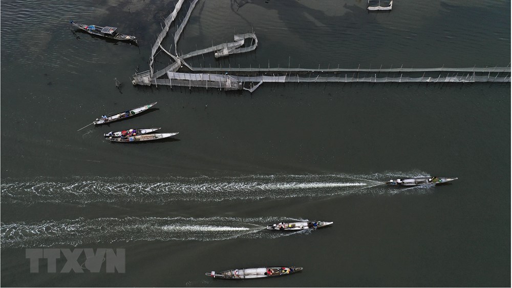 Tam Giang Lagoon in Quang Loi commune, Quang Dien district, is home to hundreds of local fisherman families, whose livelihood is based on water (Photo: VNA)