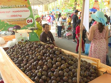 Southern fruit festival begins in HCM City