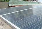 Rooftop solar panels grab more attention