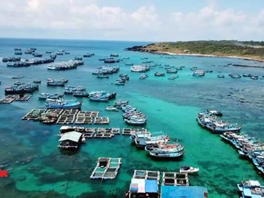 Phu Quy island tourism soars