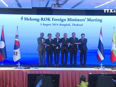 Vietnam affirms commitment to Mekong-Japan cooperation