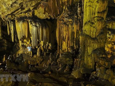 Van Trinh Cave in Ninh Binh province