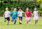 Urban kids in Vietnam enjoy green summer holidays