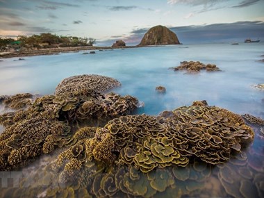 Stunning coral reefs of Hon Yen island