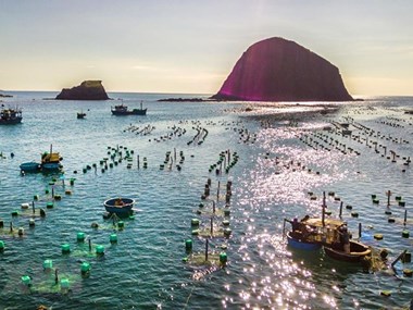 Phu Yen lobster farming