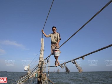 Unique fishing in Vung Tau