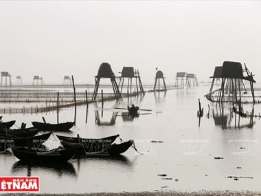 Clam farming in northern coastal district