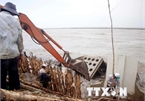 Ca Mau sea dyke at risk of breaching