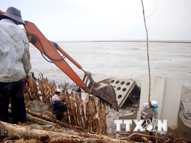 Ca Mau sea dyke at risk of breaching