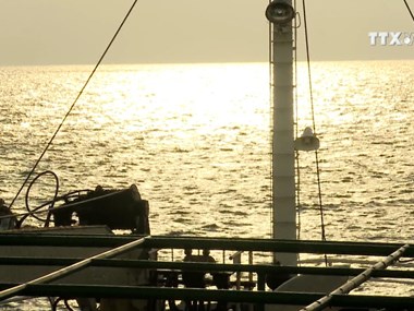 Vietnam: responsible member of UNCLOS