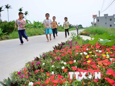 Flower roads beautify villages