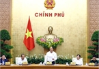 Vietnamese government determined to fulfil set goals: PM