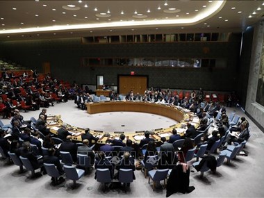 Vietnam well prepared for non-permanent seat at UNSC: Indonesian ambassador