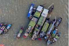 Cai Rang floating market in Mekong Delta hosts cultural festival