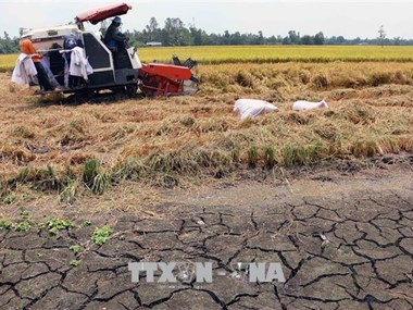 Drought forecast for central, south-central coastal provinces in 2019