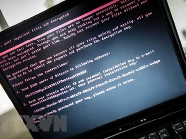Over 3,100 cyber attacks hit Vietnam in six months