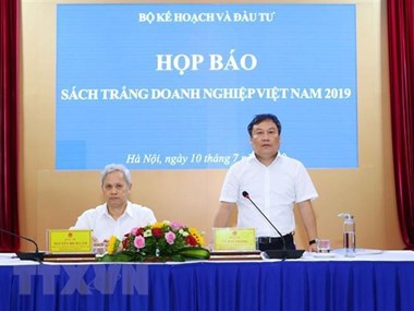 White Book on Vietnamese Businesses 2019 launched