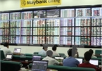 Vietnamese stock market attracts foreign investment