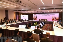 AMM-52: ministers discusses series of regional issues