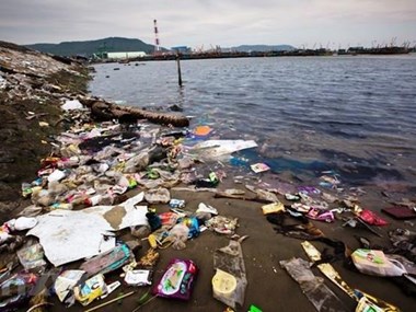 Action plan for marine debris reduction to be built