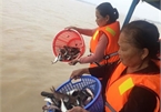An Giang: 15 tonnes of fish released to protect biodiversity
