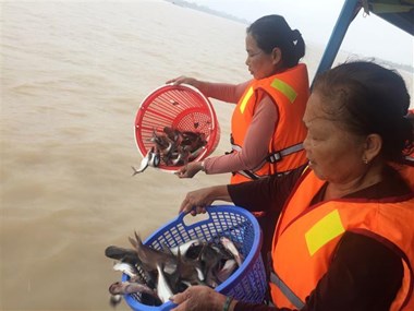 An Giang: 15 tonnes of fish released to protect biodiversity