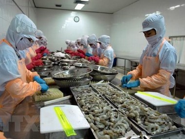 More than 22 billion USD in FDI poured into Mekong Delta