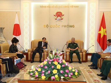 Vietnam, Japan boost cooperation in war consequence settlement