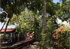HCM City, Mekong Delta boost tourism cooperation