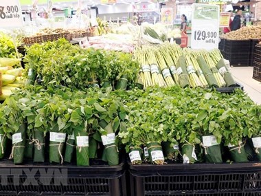 First PPP agricultural project launched in Hau Giang