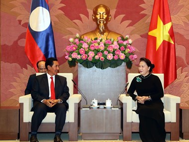Top legislator meets Lao NA Vice President