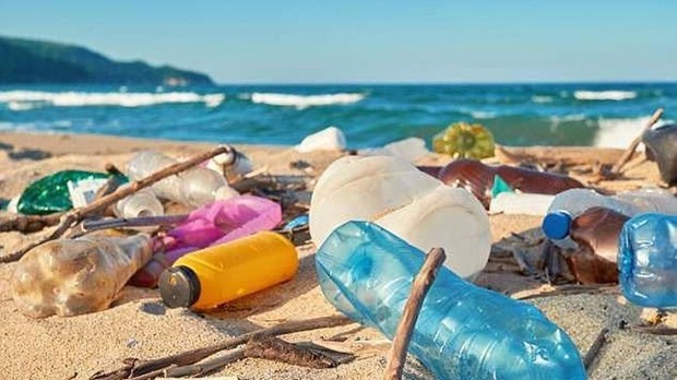 Vietnam ready to join talks on global treaty on marine plastic waste hinh anh 1