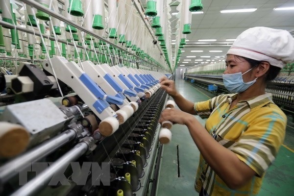 Vietnam’s GDP to grow 2-3 percent this year: former GSO director