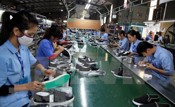 Measures sought to help footwear industry get back on front foot hinh anh 1