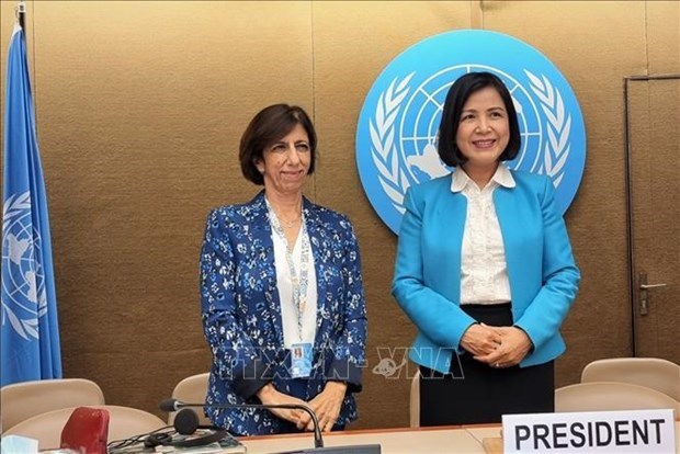 Vietnam elected as vice chair of UNCTAD intergovernmental expert group’s meeting hinh anh 1