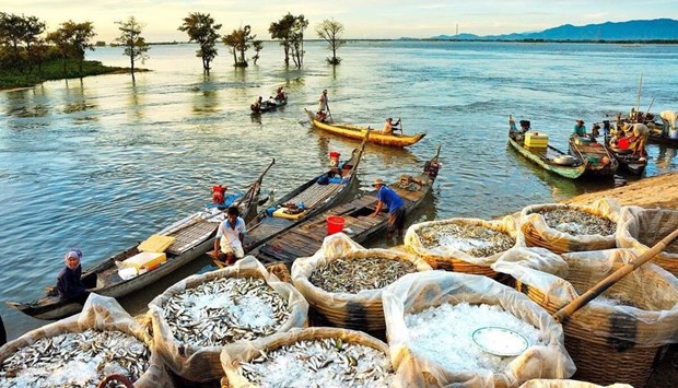 Mekong Delta region seeks to revive tourism industry hinh anh 1