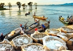 Mekong Delta region seeks to revive tourism industry