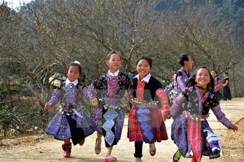 Programme aims to spur socio-economic development in mountainous areas hinh anh 2