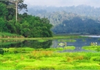 Dong Nai Biosphere Reserve - “green lung” of southeastern region