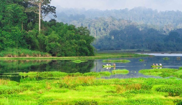 Dong Nai Biosphere Reserve - “green lung” of southeastern region