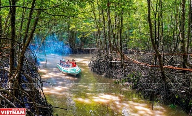 Exploring 11 world biosphere reserves in Vietnam hinh anh 5