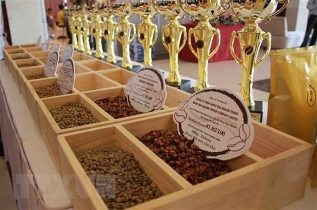 Domestic coffee exporters expect a promising year hinh anh 2