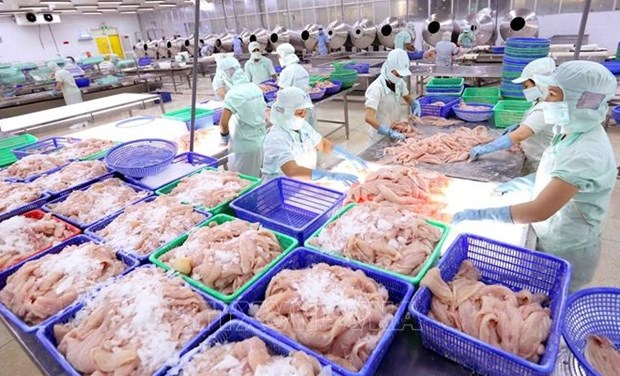 Vietnamese seafood sector to enjoy strong growth in 2021-2030: Report hinh anh 1